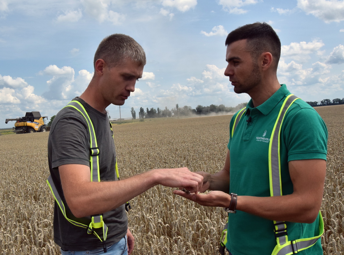 Чи дорідне зерно, цікавляться керівник блоку Леонід Пилипчук (ліворуч) й очільник кластера «Полісся» Андрій Миць. Фото автора